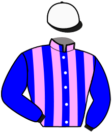 Casaque du n°13 — MONARQUE DE L'ISLE