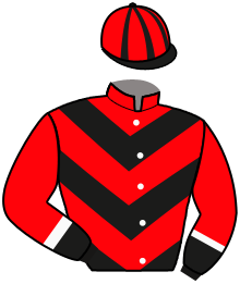 Casaque du n°6 — OHAYOU