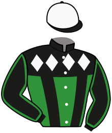 Casaque du n°3 — OTTO BEUCKENSWIJK