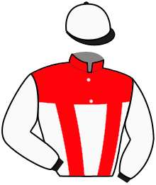 Casaque du n°5 — NAEMA DE VAUVILLE