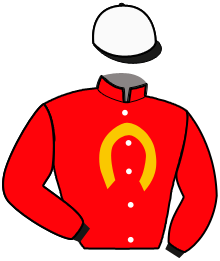 Casaque du n°6 — JAGER OVER