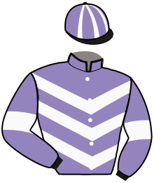 Casaque du n°9 — NASHIRA