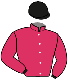 Casaque du n°5 — OLYMPUS LOBELL