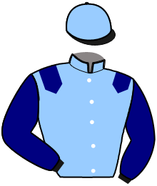 Casaque du n°2 — IMPULSIF D'AVENIR