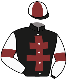 Casaque du n°13 — MALDIVE DE TILLARD