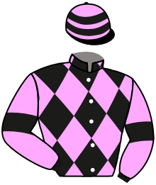 Casaque du n°12 — NAMOUR DU BEARN