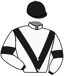 Casaque du n°9 — NUMBER ONE ALLEN
