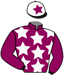Casaque du n°5 — JOBIJOBA DE VIETTE