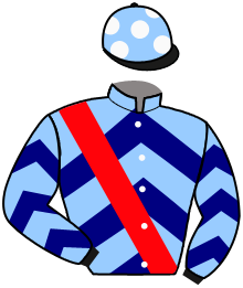 Casaque du n°10 — NIKANOR
