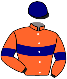 Casaque du n°11 — NAGAWIKA GOUD