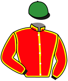 Casaque du n°10 — MONTAGNE