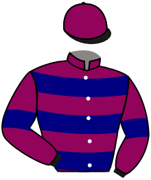 Casaque du n°2 — MY BEL DU LION