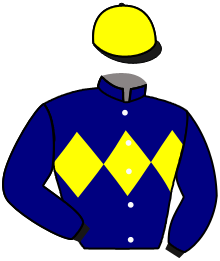 Casaque du n°4 — MARINELLO