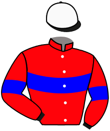 Casaque du n°7 — MASTER VILLE