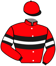 Casaque du n°3 — CENTRICAL