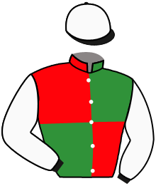 Casaque du n°2 — MAYAMAR