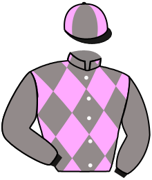 Casaque du n°7 — WARHOLM