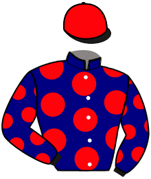 Casaque du n°8 — MAGABYLOU