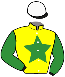 Casaque du n°1 — NAIROBI DE LAHAYE