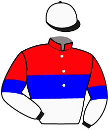 Casaque du n°2 — ONALISA