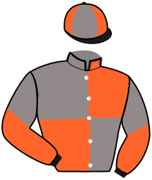 Casaque du n°4 — KARA DU FER
