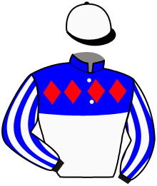 Casaque du n°11 — LASCO DE LOU