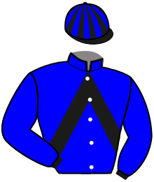 Casaque du n°12 — LANHELEN DU PILET