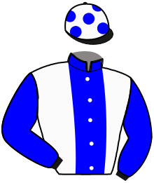Casaque du n°3 — JALOUX