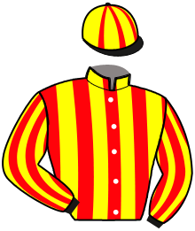 Casaque du n°12 — NINA DU MINON