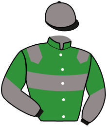 Casaque du n°14 — JAMAIQUE DAIRPET