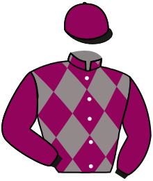 Casaque du n°7 — LEHMAN
