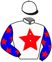 Casaque du n°6 — GREGOIRE OF STARS