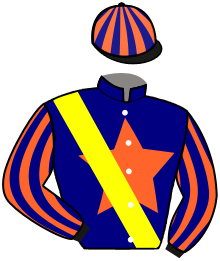 Casaque du n°12 — VICTORY SALUTE