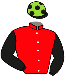 Casaque du n°13 — HATFAVILLE