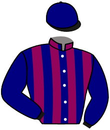 Casaque du n°2 — TORPEN