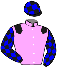 Casaque du n°12 — LUTELLIA MONNERIE