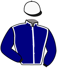 Casaque du n°18 — GISARO