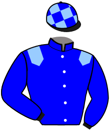 Casaque du n°2 — NORBERT BLUE