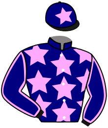 Casaque du n°1 — RAFFLES LIAISON