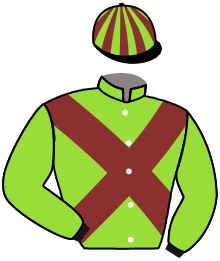 Casaque du n°3 — BRUN DE TZAR