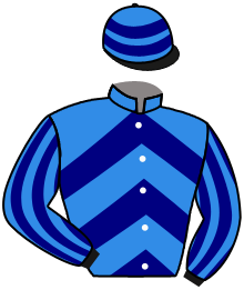 Casaque du n°9 — AMICIS