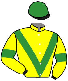 Casaque du n°9 — SPRING BANK