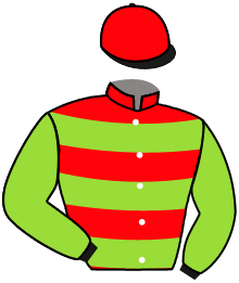 Casaque du n°10 — MALINE DE GRISSAY