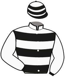 Casaque du n°10 — MARCEL SEVEN