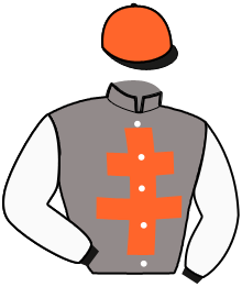 Casaque du n°13 — MOGADOR DE LATZ