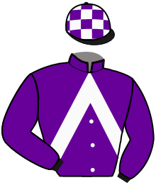 Casaque du n°3 — NOE DE CRESCY