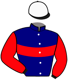 Casaque du n°9 — NAPOLEON PAN