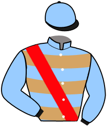 Casaque du n°3 — NINJA BLEU