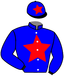 Casaque du n°12 — EXPRESSORA