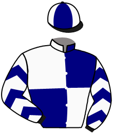 Casaque du n°14 — ELLYRA